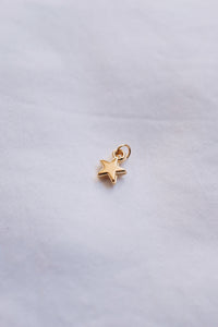 Gold Star Charm