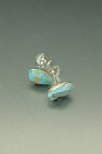 Silver Turquoise Earrings