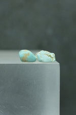 Silver Turquoise Earrings